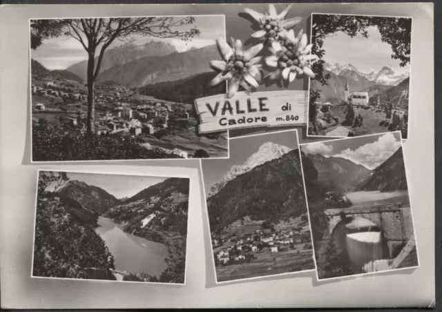 VALLE CADORE - Cartolina - Diverse vedute in collage con stelle alpine - (3887)