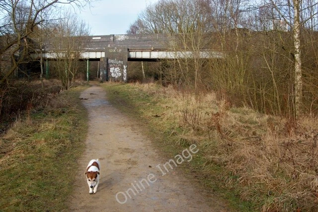 Photo 6x4 Site of the former Rugby Central railway station (6) Looking no c2010