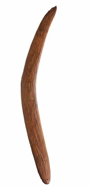 Antique Primitive Aboriginal Nik Nik Wood Australian Wooden Hunting Boomerang