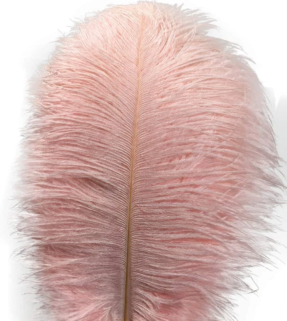 10Pcs Ostrich Feathers 14-16Inch(35-40Cm) for Home Wedding Decoration(Light Pink