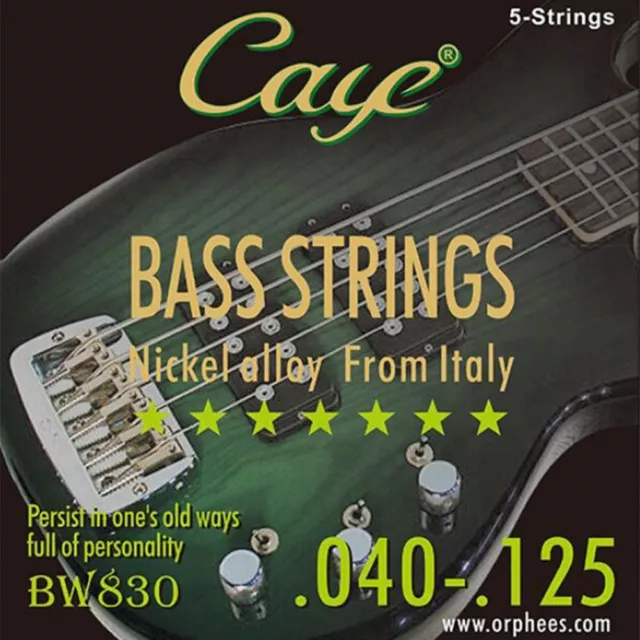 Pro Grade CAYE Electric Bass Strings Clear and Glossy Sound Long Work Life