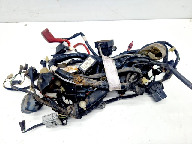 Motorcraft WPT1325 – Kit Treccia Cablaggio Auto, Connettore Specifico, Prodotto In Messico