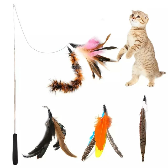 Kitten Cat Play Feather Teaser Wand Toy Retractable Stick with 5PCS Replace Head