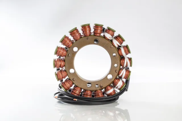 Rick's Motorsport Stator 21-325