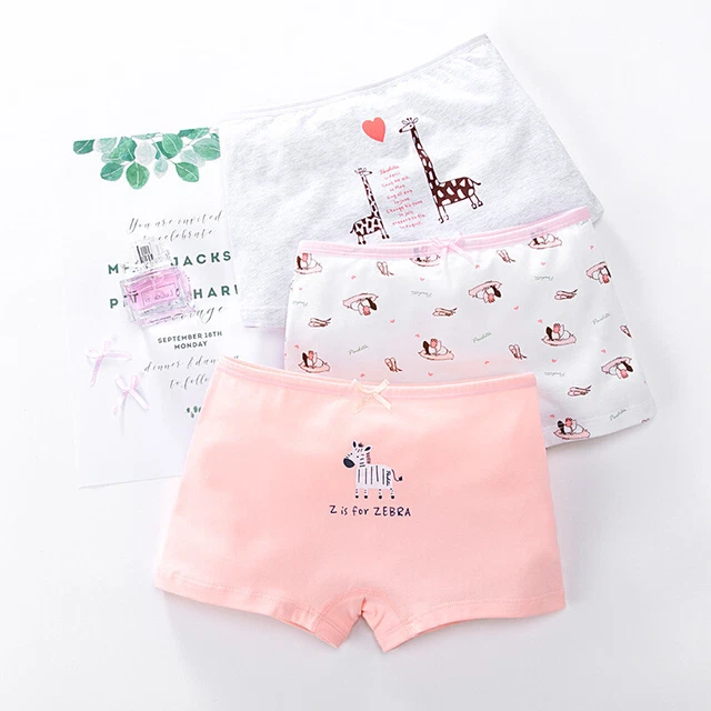 Biancheria Intima Ragazza Slip Knickers Confezioni 3 Cotone Età 2-16 Anni 2