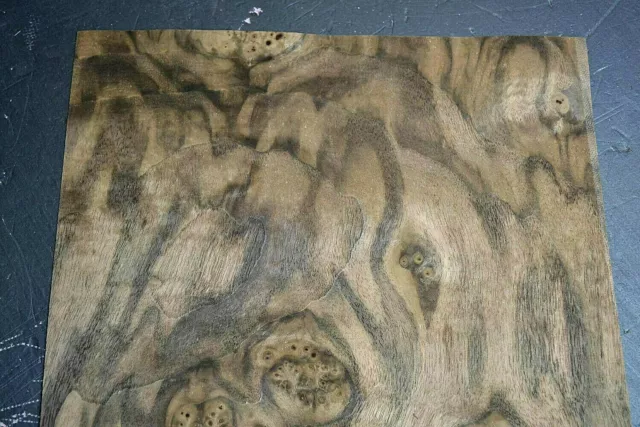 Walnut Burl Raw Wood Veneer Sheet 11 x 33 inches 1/42nd thick       I4680-60