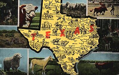 Texas, TX, State Map, Multi View Animals, 1955 Linen Vintage Postcard a2509