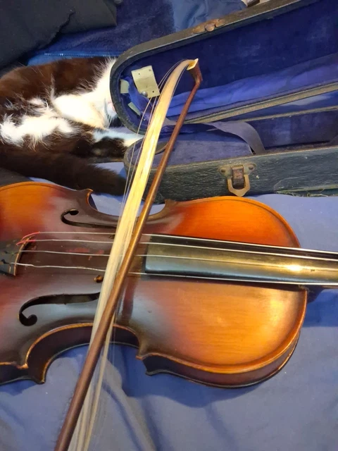 Violins, Orchestral, Vintage String, Vintage Musical Instruments