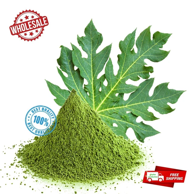 Perte de poids à base de plantes en poudre de feuilles/feuilles de papaye...