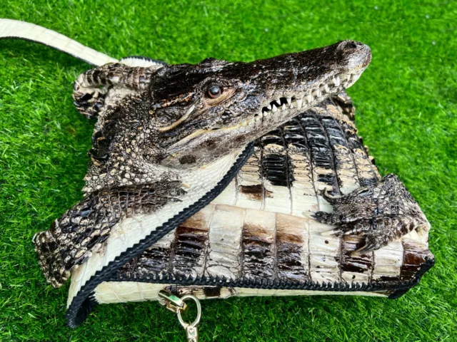 Alligator Leather Crossbody Bag Genuine Crocodile Skin Shoulder Handbag Travel