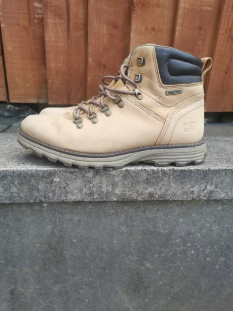 Caterpillar mens sire wp