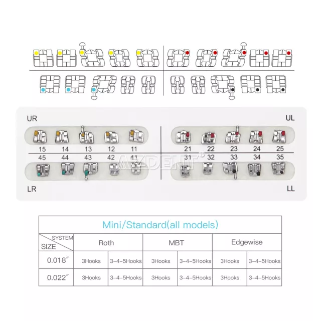 AZDENT Dental Orthodontic Metal Brackets Braces Mini Standard MBT Roth 022 018 3