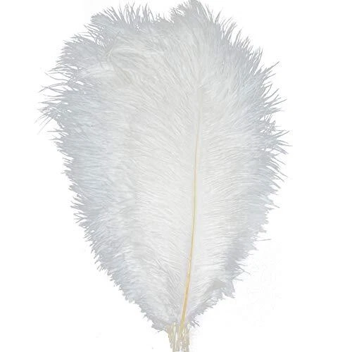 40pcs 12''~14''(30~35cm) Natural Ostrich Feathers for DIY Home Wedding Party