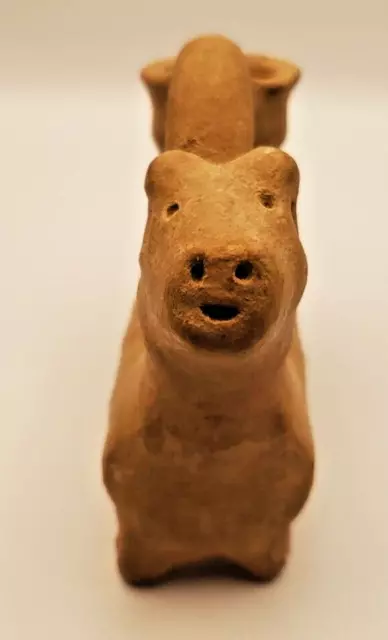 Original Nayarit Dog Effigy Vessel 300 BC - 300 AD 3