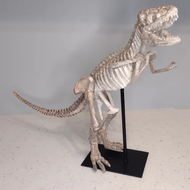 Zentique Polyresin Cast Distressed Tyrannosaurus T- Rex Skeleton With Base 3