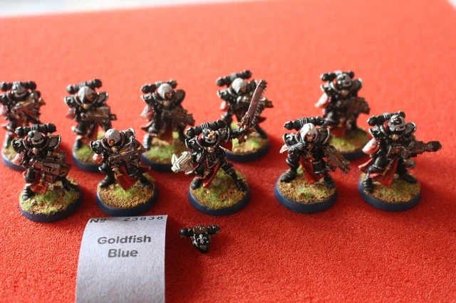 Games Workshop Warhammer 40k Sisters of Battle Squad 10 bemalte Figuren Superior