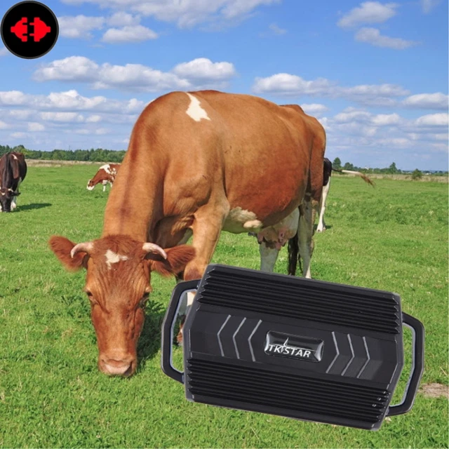 TKSTAR TK935 Localizzatore GPS per auto per animali domestici da 3000 mAh Locali