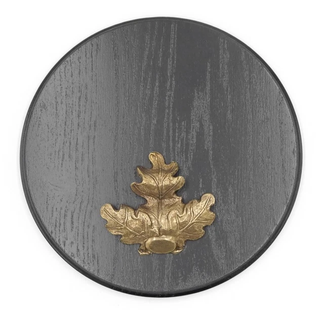 Placa de Jabalí Oscuro Af 21cm Hoja Roble Grande Tablero Keiler Escudo Trofeo