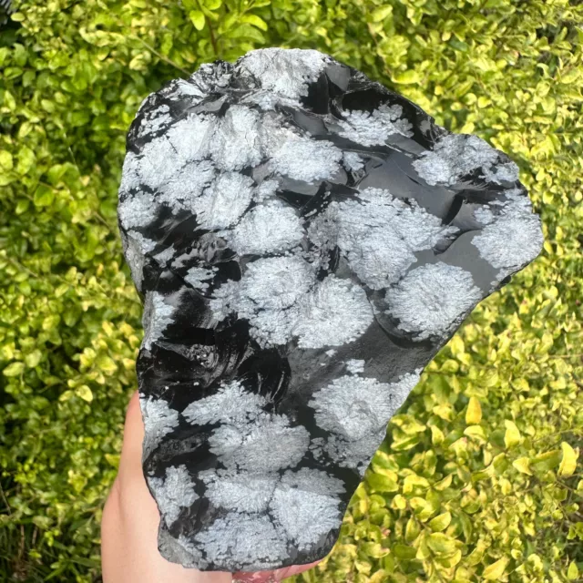 1088g Natural Snowflake Obsidian Rough Stone Specimen Mineral Crystal Healing 2