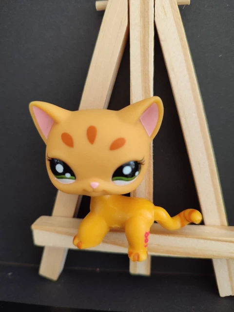 Petshop Chat Européen Puzzle Sans