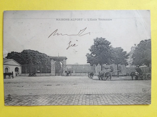 cpa written in 1904 MAISONS ALFORT (Val de Marne) L'ÃCOLE VÃ©RÍINAIRE
