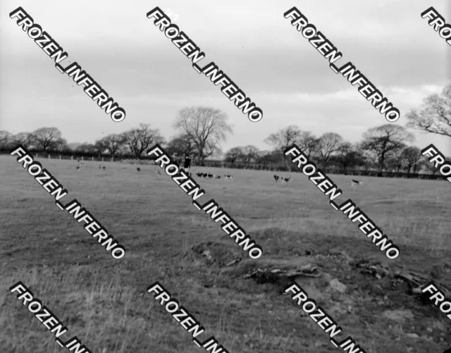 24x Old Negatives.Mostly Scenic.Water Mill.Planes.Cranes.Peacock.Coast.1950.0664