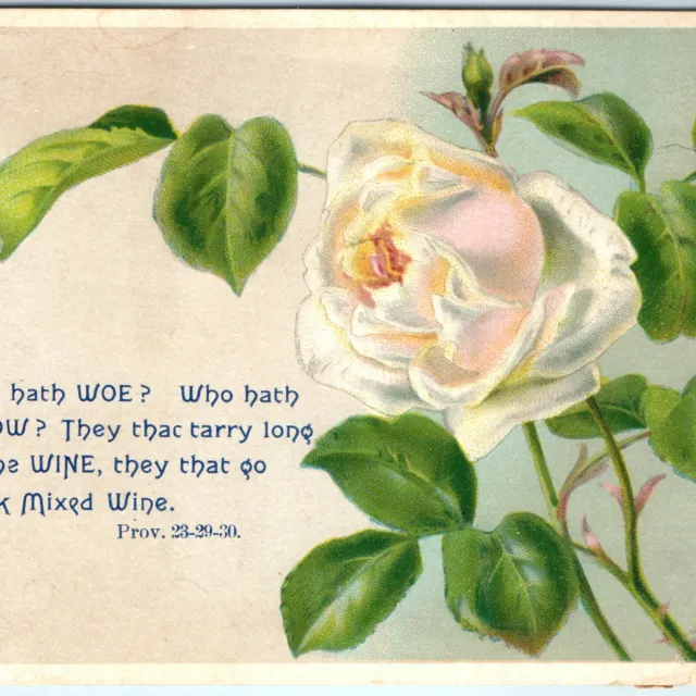 c1880s Proverbs 23 29 30 Bible Quote Victorian Trade Card Christian Wine Rose 2A