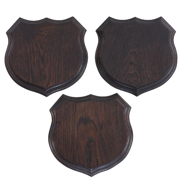 3x Wappenschilder Placa de Jabalí Af 17cm Jabalí Placa Jabalí Escudo de Trofeo