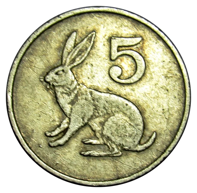 Zimbabwe 5 Cents coin 1989 KM#2 rabbit