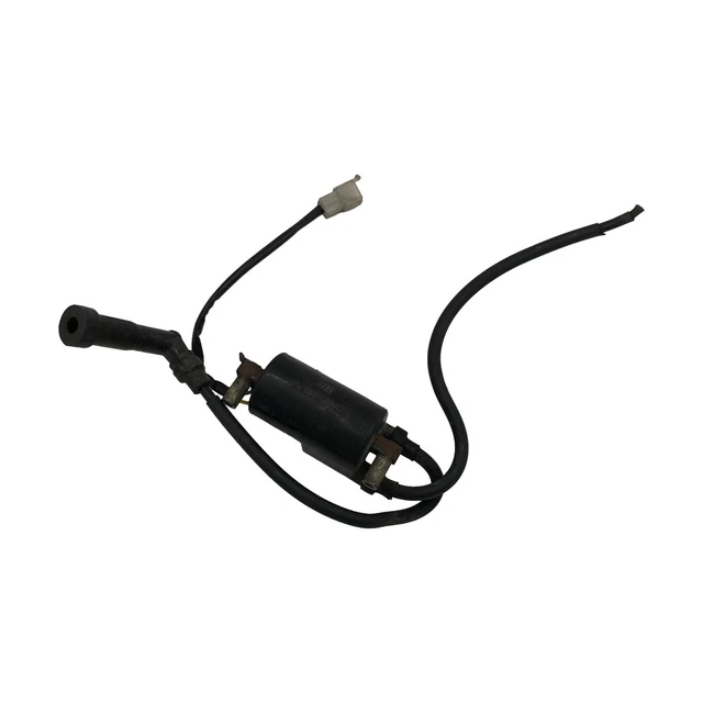 Bobina Di Accensione Per Motori Rasaerba 5-6 CV - Ricambio Compatibile Nuovo