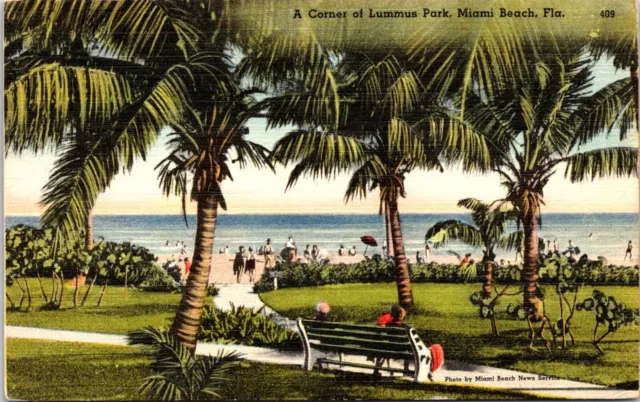 Postcard Lummus Park Palm Trees Shore Bench Miami Beach Florida B26