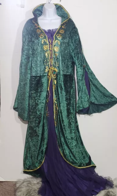 Disney Winifred Sanderson Dress of Movie "Hocus Pocus" Velvet 16/18 Cosplay 2