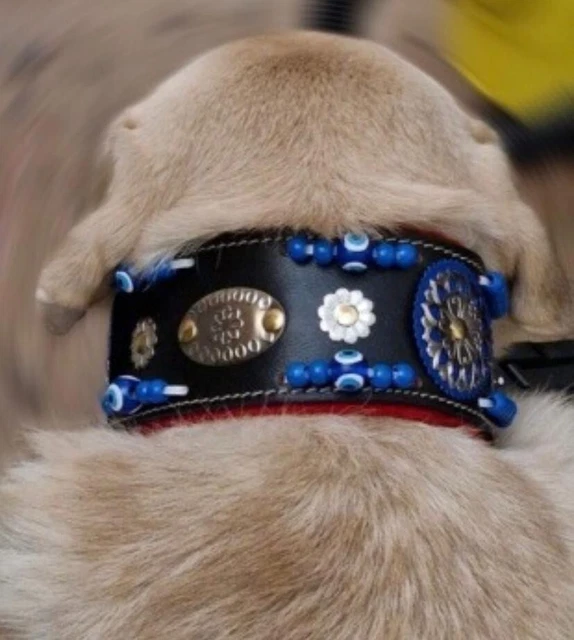 Wide Genuine Leather Dog Collar 1st Class