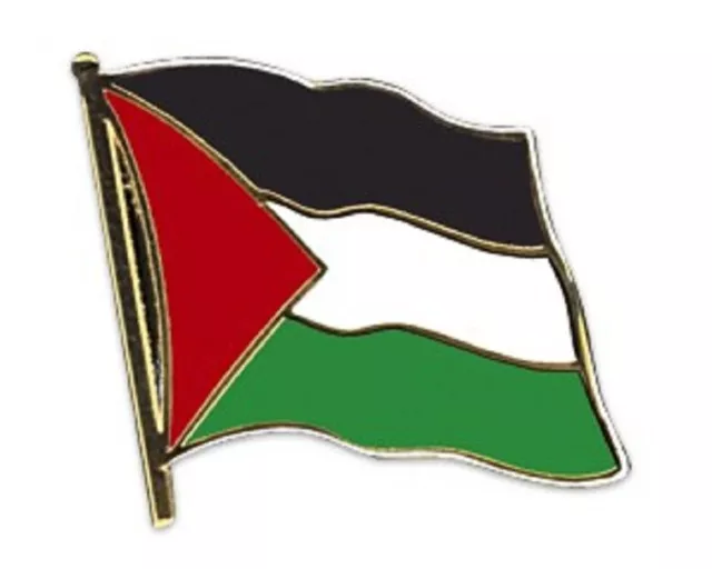 Palästina Flaggen Pin Fahnen Pin Flaggenpin Anstecker Fahnen Pin Länder Pin