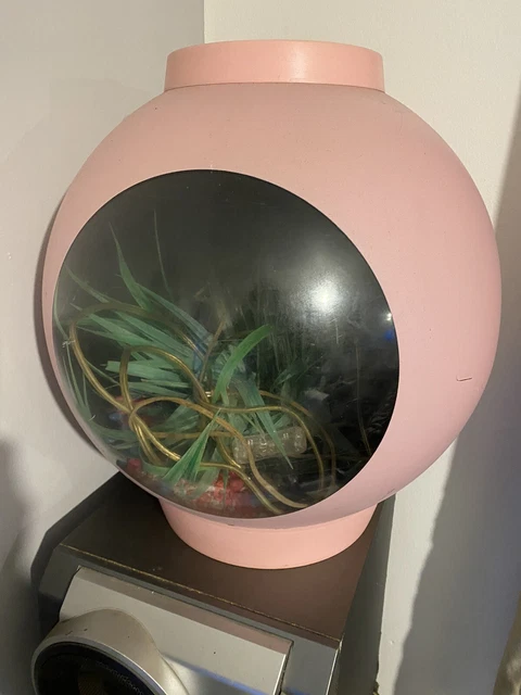Fish Tank