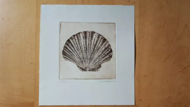 Incisione puntasecca conchiglia "LUNA"