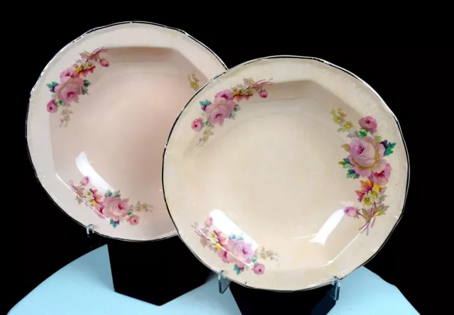 Taylor Smith Taylor TST1005 Porcelain Paramount Roses 2Pc 7 1/2" Soup Bowls 1930