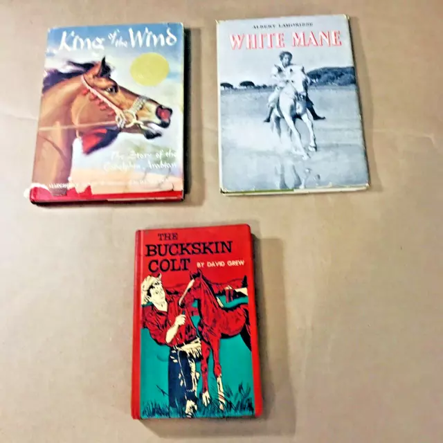 Lot 3 VTG Horse Story Books - Marguerite Henry • Albert Lamorisse • David Grew