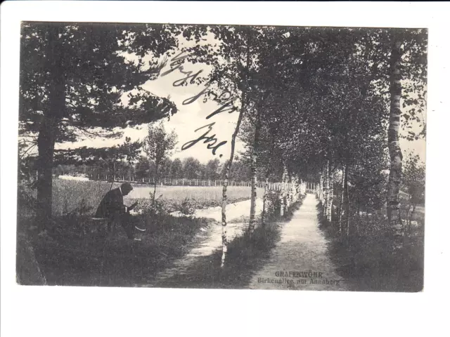postcard 24771, postcard, Grafenwöhr, Birkenallee von Annaberg, 1911
