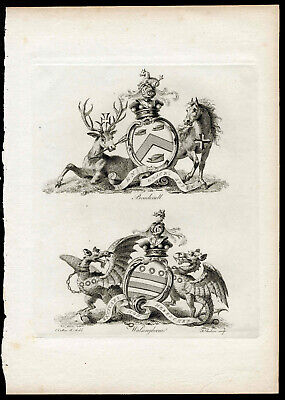 1790 COAT ARMS of CRESTS, Catton Antique Heraldry Print Dragons, Walsingham