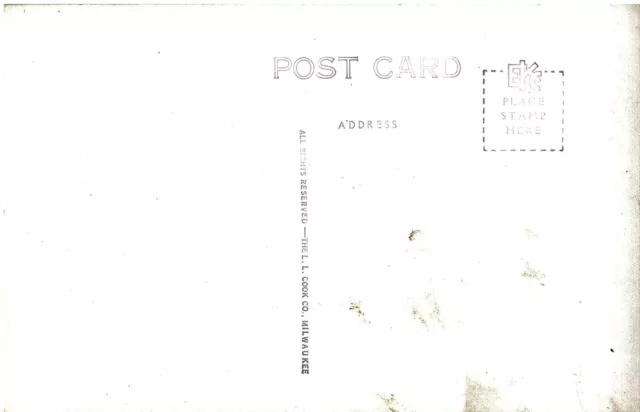 VINTAGE POSTCARD TULIP HARVESTING TIME HOLLAND MICHIGAN REAL PHOTO CARD c. 1940 2