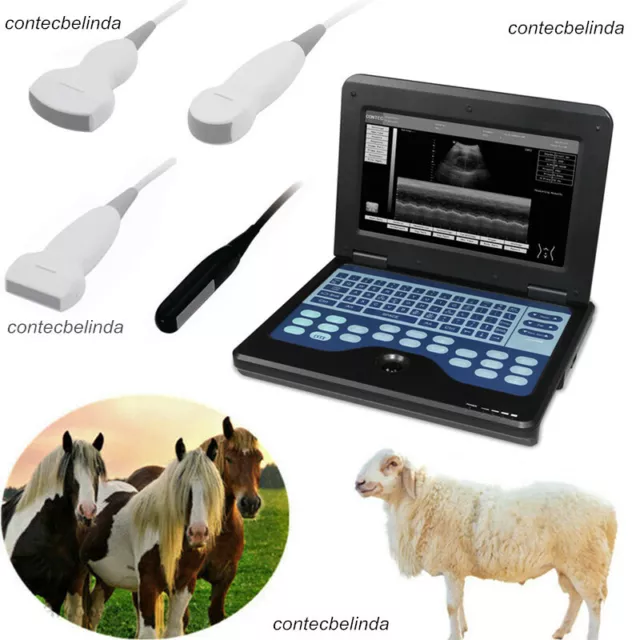 VET Veterinary Ultrasound Scanner For Equine/Cows/Sheep Use Rectal CONTEC NEW