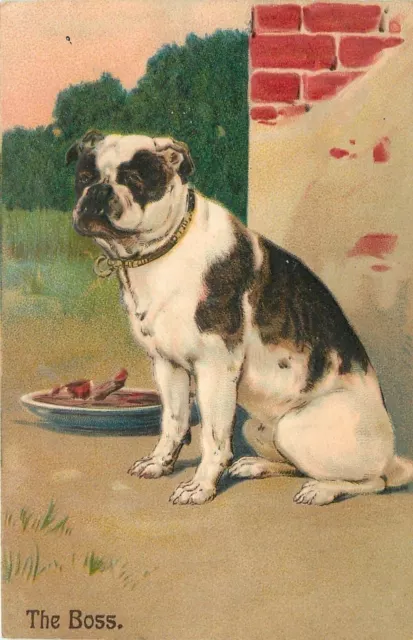 PFB~The Boss~White & Black Bulldog Rules His Corner~Blue Food Dish~Emboss~#8397