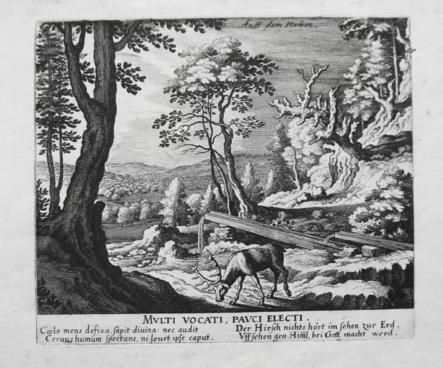 Auf dem Plawen Hirsch  echter Kupferstich Merian Jugendwerk 1624 W. 455