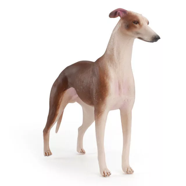 1/6 Scale Realistic Greyhound Dog Statue Resin Animal Model Toys Figure Decor KK