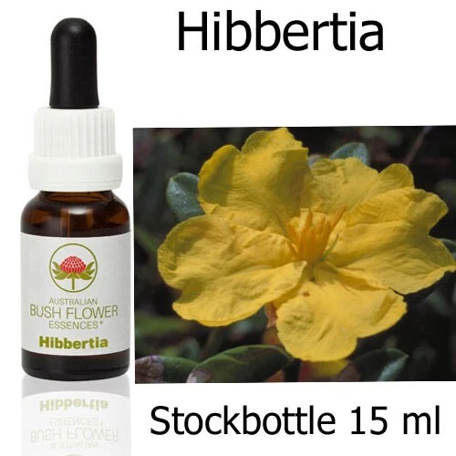 HIBBERTIA Australian Bush Flower Essences fiori cespuglio austriaci