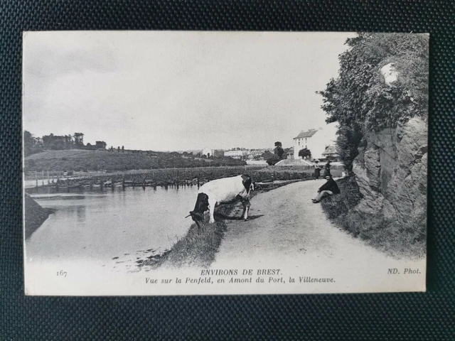 Carte Postale Ancienne Brest 1965 – Vue Aérienne Saint-Marc, Voie Ferrée Et Villas