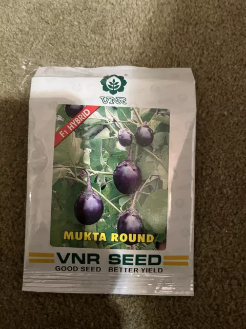 Aubergine Seeds 30