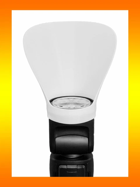 APOMOONS 2 Cartelli Di Divieto Di Cacca Di Cane 300 X 150 Mm