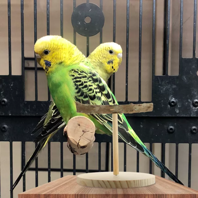 Hölzern Papagei Vogelständer Büro Spielzeug Für Papageienkäfige